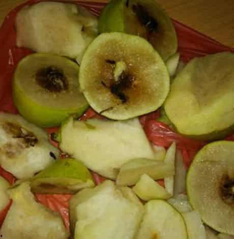 月子里可以吃梨瓜吗,营养与健康的双重保障